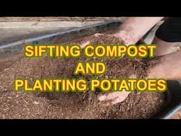 Garden update - sifting compost and planting potatoes