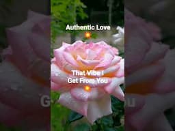 The Kenneth Eugene Curry Project💥 Authentic Love