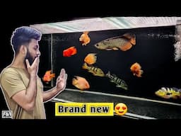 Monster Aquarium Makeover | Extreme Transformation | 180 Gallon