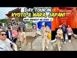 Kyoto-Nara Tour! Exploring Fushimi Inari, Kiyomizu Dera, & Nara Park!🇯🇵  | JM Banquicio