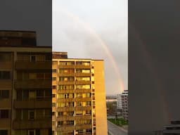 SPOTTED A BIG RAINBOW 🌈in Toronto! #shorts #canada #rainbow