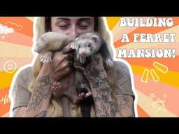 SETTING UP MY FERRETS ENCLOSURE (NEW BABY FERRETS!)