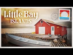 Little Bay: Why This Island Was Abandoned on December 31st, 2019