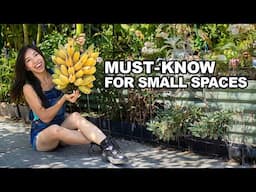 Must-Know for Growing Bananas in Small Spaces!