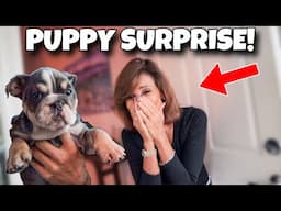 Surprising My MOM With HER DREAM PUPPY!!