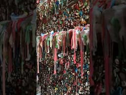 Seattle: Incredible Gum Wall, millions of gum pieces on wall