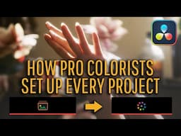 Step-by-step pro colorist setup, conform, & delivery