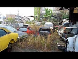 Abandoned Car Collection in Japan!