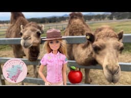 Country Quest: Ella Meets Camels, Finds Big Things and Wanders Through Mazes