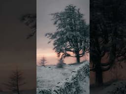 Peaceful wander through the magical snowy landscape of Cumbria 🌨️ #lakedistrict #hiking #snow