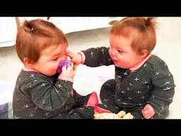 🔴[LIVE] Funny Twin Babies Videos - All Of The Cutest Thing You'll See Today || Cool Peachy