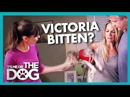 Can 'Vicious' Family Dog Really be Tamed? | It's Me or the Dog