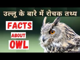 उल्लू के बारे में रोचक जानकारी | Top 20 Interesting Facts about Owl | In Hindi