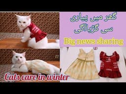 How to keep your cat warm in winter | Big News sharing | KITTYcat Vlogs