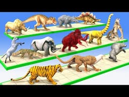 Prehistoric Animals vs Dinosaurs Speed Race Run Zigzag Down Course! from Outside Animal Revolt Battl