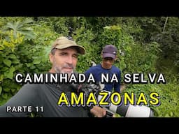 CAMINHANDO NA MATA  AMAZÔNICA  -  VÍDEO 11