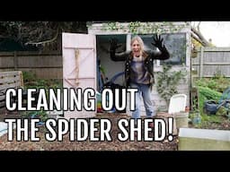 CLEANING OUT THE SPIDER SHED! / ALLOTMENT GARDENING UK