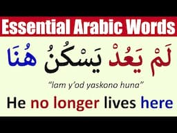 Top 6 Essential Arabic Words You MUST Know for Daily Conversations! | Learn Arabic Language