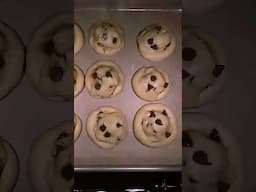 Chocolate Chip Cookies