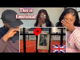 Reaction To Remembrance Day & Tower of London Poppies Tribute