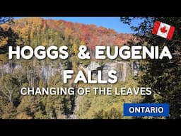 Fall Colors at Hoggs and Eugenia Falls: Ontario’s Stunning Fall Foliage 🍂🍁