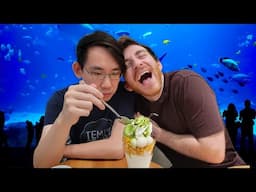 I handcuffed Parkzer and dragged him to an aquarium (in New Zealand)