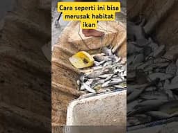 Tidak patut dicontoh - Dia tidak memikirkan jangka panjang bisa merusak habitat ikan