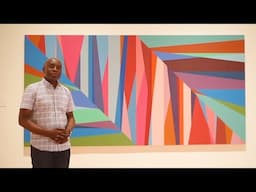 Artist Odili Donald Odita