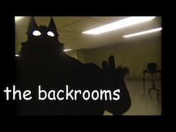 [HORROR WARNING] finding monsters in the backrooms