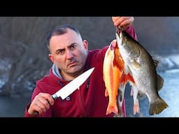 LEGENDARY FISH DISHES 🐠 All secret recipes in one video from GEORGE KAVKAZ