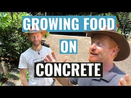 Growing fresh organic food on a Concrete Driveway with Aquaponics