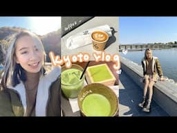 japan vlog🍡 cafe hopping in Kyoto, what I eat and do in Kyoto, street food in Arashiyama