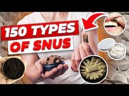 Everything you need to know about Snus