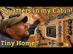 Tiny house mini #cabin #offgrid #tinyhouse  project 5