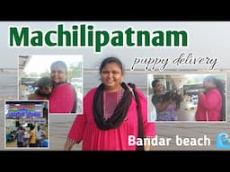 Machilipatnam puppy delivery vlog || bandar beach || RK mess || Apsara badam milk