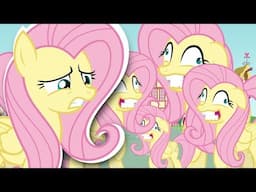 Fluttershy Compendium