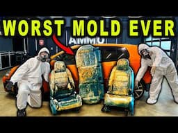 Detailing and Cleaning the MOLDIEST BIOHAZARD Car You've Ever Seen?