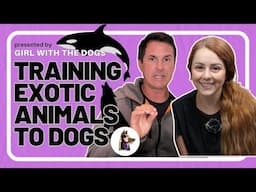 What Does Training Exotic Animals Have In Common With Dogs? | Beckman's Dog Training