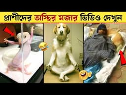 অস্থির প্রাণী 😂 এদের কান্ড দেখে কিছুই বলার নেই | Funny Animals Video / Bangla Countdown | Part-99