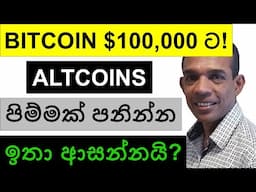 දෙසැම්බරයේ BITCOIN $100,000 ට!!! | ALTCOINS පිම්මක් පනින්න ඉතා ආසන්නයි!