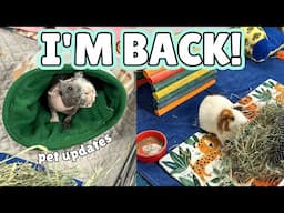 WE'RE BACK! Updates on All The Pets✨🐹🐰🐭