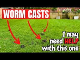 The most annoying thing about AUTUMN LAWN CARE - Worm Casts