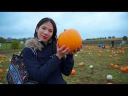 best pumpkin patch in the UK , Hitchin Lavendar 🎃 | how to make pumpkin soup | things to do in UK 🇬🇧