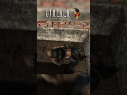 alcohol cures radiation #stalker #stalker2 #gaming