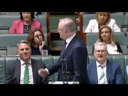 House Question Time 4 November 2024