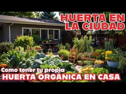 Huerta en casa, cómo producir alimento en espacios pequeños en medio de la ciudad.