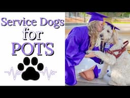 Service Dog for POTS