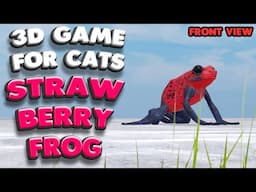 3D game for cats |  The strawberry poison frog (front view) | 4K, 60 fps, stereo sound