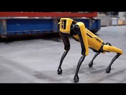 10 ADVANCED ANIMAL INSPIRED ROBOTS YOU NEED TO SEE