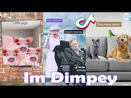 Try Not To Laugh Challenge! Newest ImDimpey TikTok Videos of 2024. Funny #Dimpey6 TikToks.